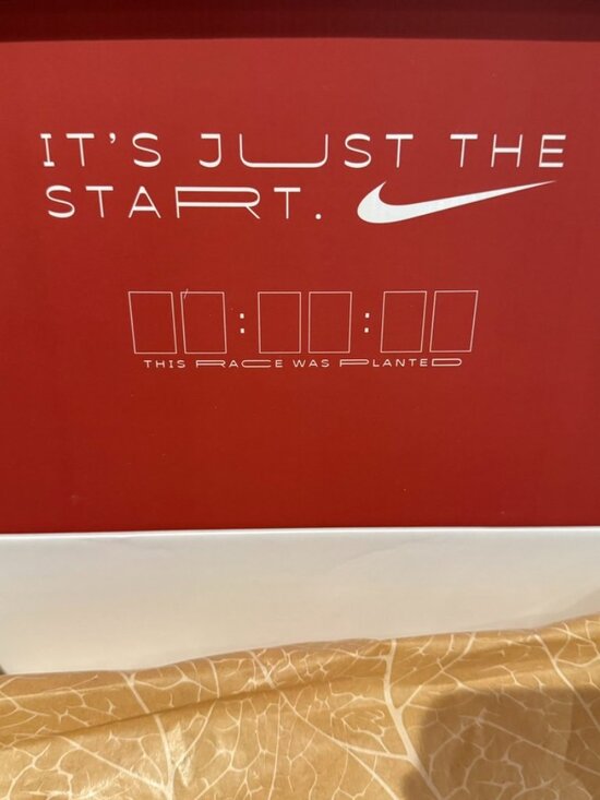 Nike Pegasus 41 \